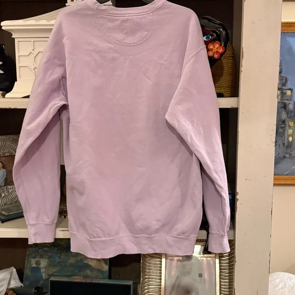 the Lost Bros lavender figment imagination institue epcot sweatshirt large L - Picture 5 of 5
